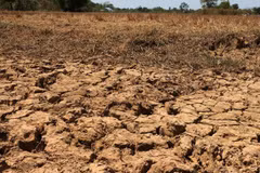 La sécheresse frappe la production agricole au Cambodge