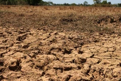 La sécheresse frappe la production agricole au Cambodge