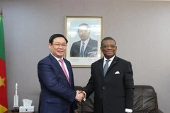 Le vice-Premier ministre Vuong Dinh Hue en visite de travail au Cameroun