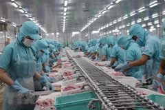 Le Vietnam cherche des opportunités de coopération et d'investissement en Afrique