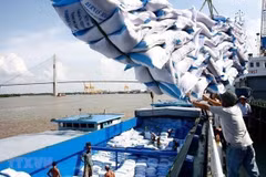 Construire une chaîne d'approvisionnement durable pour les exportations de riz