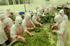 Les exportations d’An Giang en forte hausse en quatre mois