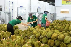 Le Vietnam veut booster sa coopération décentralisée avec Tianjin