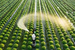 VinaCapital Ventures investit un million de dollars dans la plateforme technologique agricole Koina