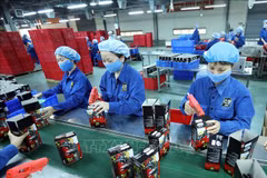 Ca Mau : le nombre d’entreprises nouvellement créées en forte hausse