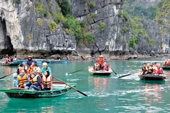 Forte hausse du nombre de touristes indiens au Vietnam en dix mois