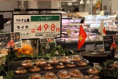 Le Vietnam stimule la production agricole conformément aux normes internationales