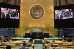 Le Vietnam soutient une région d'Asie du Sud-Est exempte d'armes nucléaires 