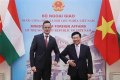 Vietnam-Hongrie : entretien entre les deux ministres des Affaires étrangères