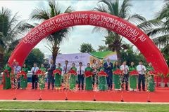 EVFTA : 126 tonnes de riz parfumé du Vietnam exportées vers l’Union européenne