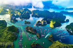 Le Vietnam dispose d'un potentiel immense pour développer l'économie bleue