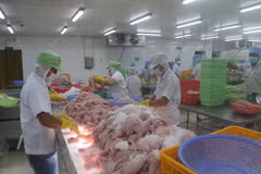 Pour mieux profiter de l’Accord de libre-échange Vietnam - UEEA