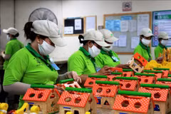 Le marché du travail du Sud reprend des couleurs