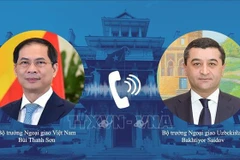 Le ministre vietnamien des Affaires étrangères, Bui Thanh Son (gauche) et son homologue ouzbek Bakhtiyor Saidov. Photo: VNA