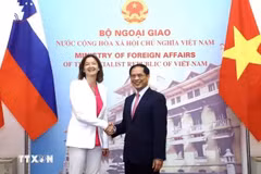 La vice-Première ministre et ministre slovène des Affaires étrangères et européenne Tanja Fajon et le ministre vietnamien des Affaires étrangères Bui Thanh Son. Photo: VNA