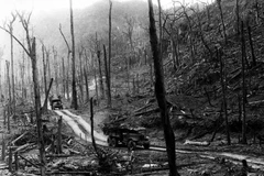 LA PISTE TRUONG SON-HÔ CHI MINH, PREUVE FLAMBOYANTE DE LA CRÉATIVITÉ DE L’ART MILITAIRE VIETNAMIEN