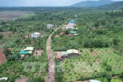 Un tronçon de l'autoroute Khanh Hoa - Buon Ma Thuot, traversant la commune d'Ea Kenh, district de Krong Pac, province de Dak Lak. Photo: VNA