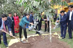 La présidente de l'AN plante un arbre dans la zone commémorative du Président Hô Chi Minh