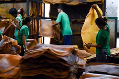 La Thaïlande devient le premier exportateur mondial de caoutchouc