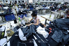 Signes encourageants pour les relations économiques Vietnam-République tchèque