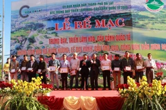 Clôture des événements organisés dans le cadre du Festival des fleurs de Da Lat 2019