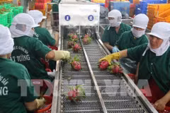 Tien Giang : le chiffre d'affaires à l'exportation atteint 2,7 milliards de dollars