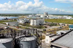 Hai Phong créera encore 5 ou 6 zones industrielles