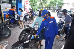 Forte baisse des prix des carburants