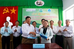 Vinh Long : Coopération dans l'exportation de mangues vers le marché américain