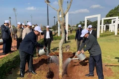 Lancement de la fête de plantation d’arbres dans différentes localités