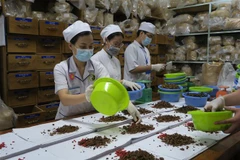 Le Vietnam et la R. de Corée coopèrent dans la recherche en médecine traditionnelle