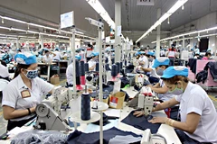 Dong Nai saisit les opportunités pour stimuler les exportations