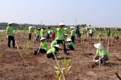 Organisation du programme « I Green We Green Vietnam » à Nam Dinh