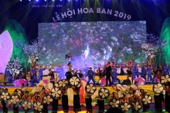 La Fête de bauhinie 2019 à Dien Bien
