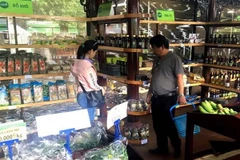 Soutien aux entreprises dans la promotion des produits en Afrique du Sud