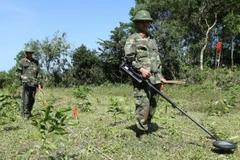 Coopération dans le règlement des conséquences des bombes et mines laissés par la guerre au Vietnam
