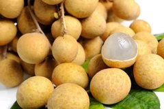 Les fruits vietnamiens sont exportés vers des marchés exigeants