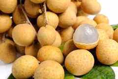Les fruits vietnamiens sont exportés vers des marchés exigeants