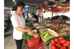 Les modèles d’innovation contre les déchets plastiques se multiplient