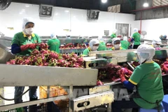 La transformation en profondeur augmente la valeur des exportations agricoles