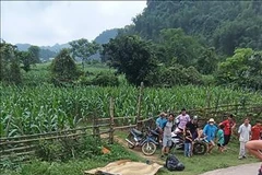 Un Allemand tué et sa femme blessée après la chute d'une moto dans le Nord du Vietnam. Photo / VNA