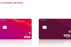 La Lotte Card de la R.de Corée injecte 68 millions de dollars dans une unité vietnamienne. Photo . VNA