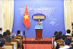 Lors de la conférence de presse périodique du ministère des AE. Photo : VNA