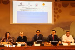 Le vice-ministre des Affaires étrangères Do Hung Viet (centre) lors du séminaire international sur l'intégration de l'éducation aux droits de l'homme. Photo : VNA