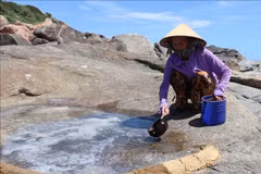 L'ancien champ de production de sel de Sa Huynh découvert à Quang Ngai. Photo : VNA