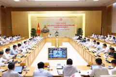 Lors de la conférence. Photo : VNA