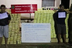 Le cas a été détecté dans le village de Chiangthong du district de Paktha à Bokeo le 12 mai. (Photo : VNA)