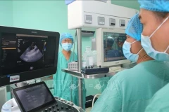 Lors d'une opération de transplantation d'organes à Quang Ninh (Photo : VNA)