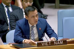 L'ambassadeur Dang Hoang Giang, chef de la mission vietnamienne auprès des Nations Unies. Photo : VNA