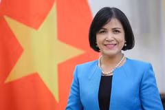Le Vietnam assiste à la réunion du conseil exécutif du CIDHG